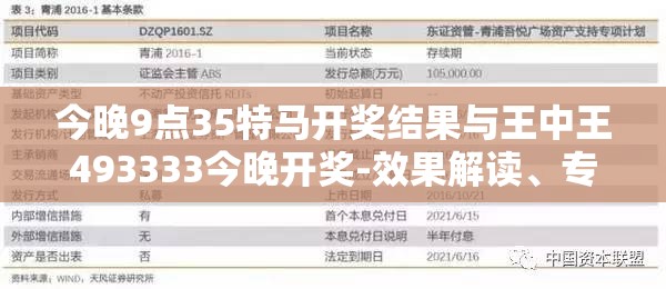 今晚9点35特马开奖结果与王中王493333今晚开奖-效果解读、专家解析解释与落实