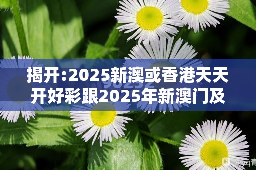 揭开:2025新澳或香港天天开好彩跟2025年新澳门及香港正版内部-实用剖析、专家解读解释与落实?