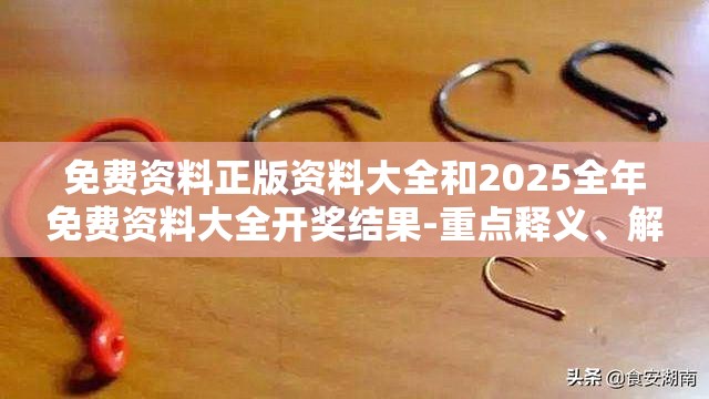 免费资料正版资料大全和2025全年免费资料大全开奖结果-重点释义、解释与落实,警惕不实的钓鱼钩