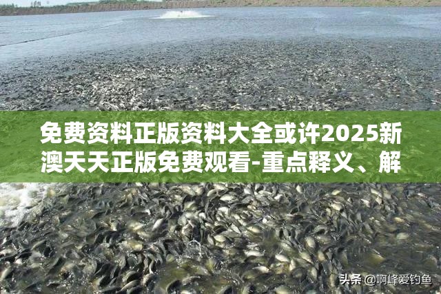 免费资料正版资料大全或许2025新澳天天正版免费观看-重点释义、解释与落实,警惕不实的钓鱼钩
